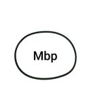 اورینگ پمپ بنزین 206 تیپ 5 و2 باگارانتی