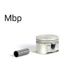 پیستون206 تیپ 5 با گژنپین